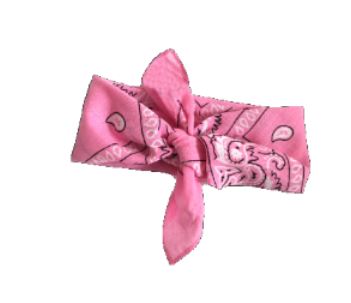 Bandana Pink